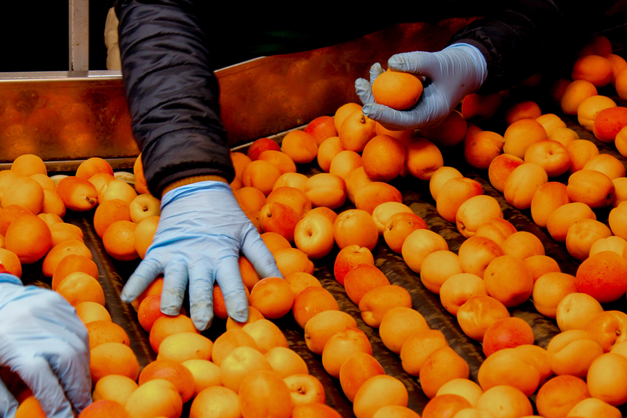 TiLT Capital s’engage aux côtés d’ENDENA pour bâtir la ville durable